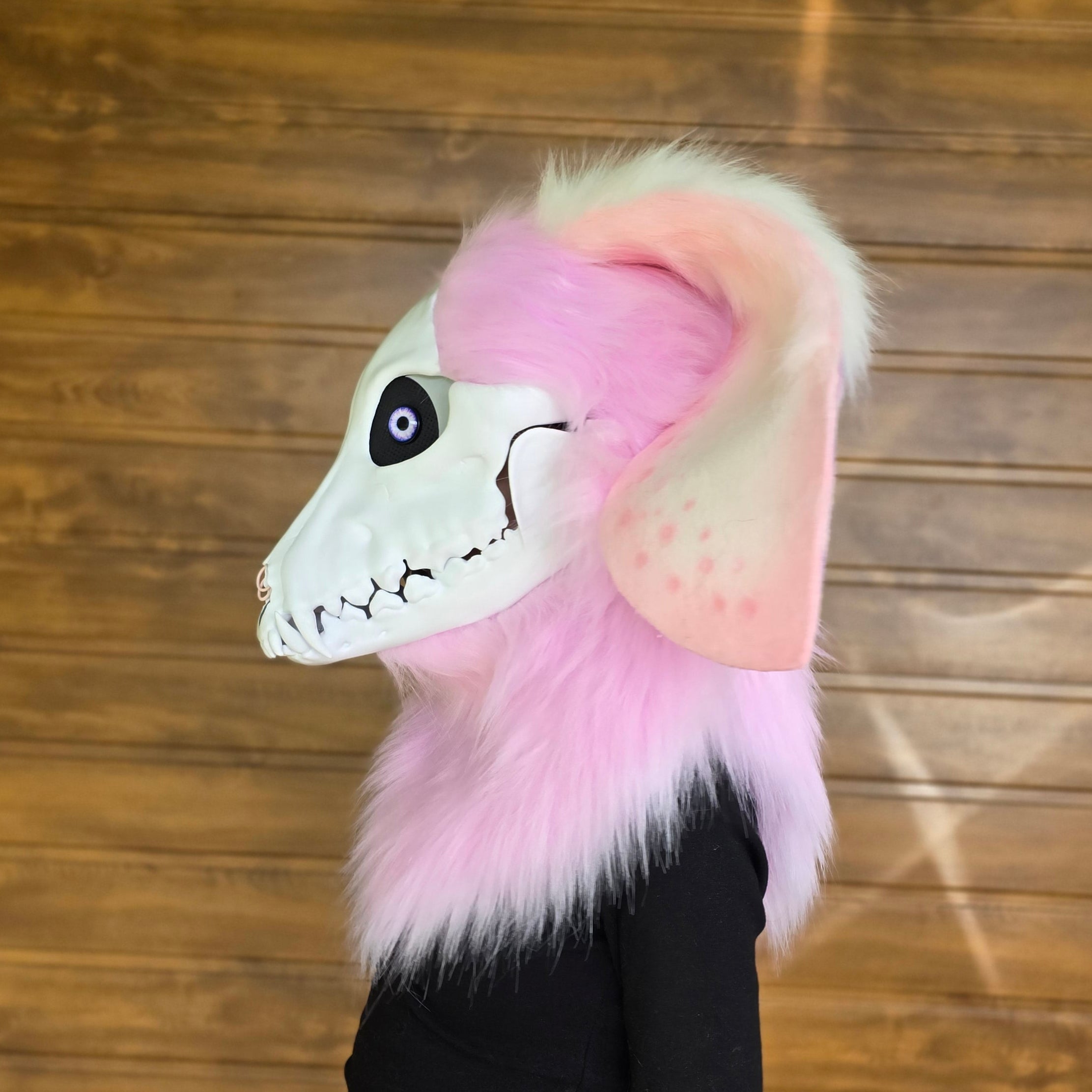 Skulldog with glow-in-the-dark bunny ears