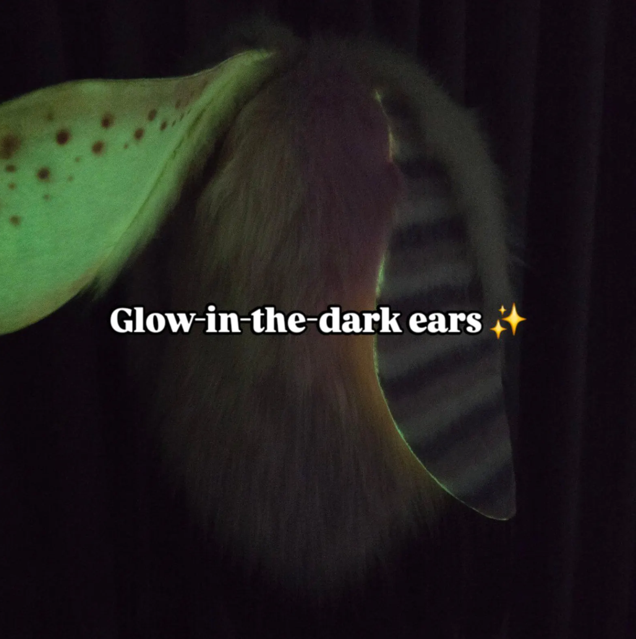 Skulldog with glow-in-the-dark bunny ears