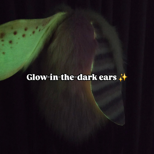 Skulldog with glow-in-the-dark bunny ears