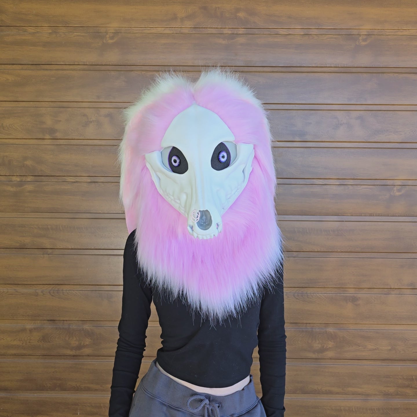 Skulldog with glow-in-the-dark bunny ears